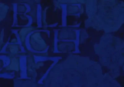 Bleach – T01E217: A bela e pequena Charlotte