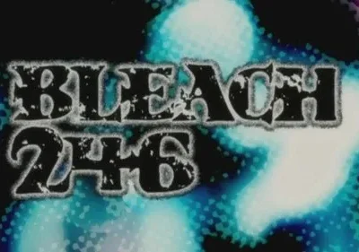 Bleach – T01E246: Missão especial! Resgatem o Comandante Yamamoto!