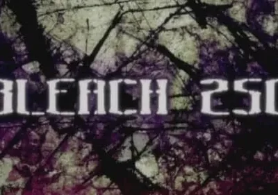 Bleach – T01E250: Aquele homem, pelo bem dos Kuchiki