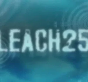 Bleach – T01E255: O capítulo final dos contos secretos das zanpakutou