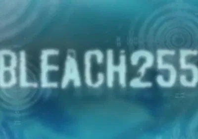 Bleach – T01E255: O capítulo final dos contos secretos das zanpakutou