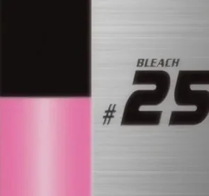 Bleach – T01E259: Terror! O monstro que se esconde