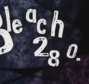 Bleach – T01E280: Hisagi e Tousen, o momento de despedida