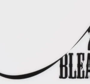 Bleach – T01E289: Byakuya x Kenpachi?! O confronto físico começa