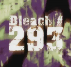 Bleach – T01E293: Hitsugaya enraivecido! Uma lâmina repleta de ódio!