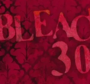 Bleach – T01E300: Urahara aparece! Impeçam o Aizen!