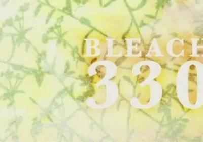 Fundo amarelo e verde com padrão de folhagem suave. Grandes números brancos '330' no centro.