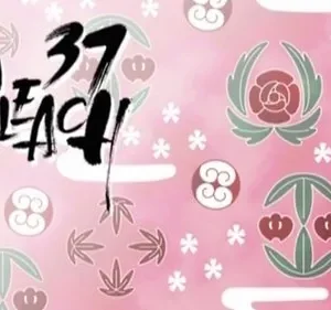 Bleach – T01E37: Os Motivos do Punho