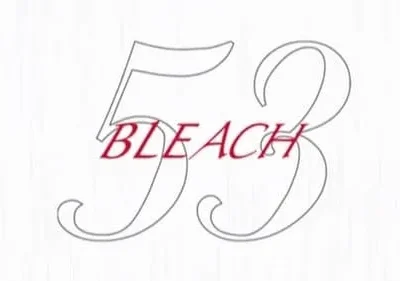 Bleach – T01E53: A Tentação Do Gin E Uma Determinação Estilhaçada