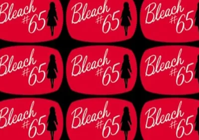 Bleach – T01E65: Terror: A Segunda Vítima