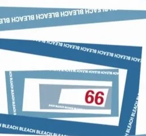 Bleach – T01E66: Quebra-cabeça! A Armadilha Escondida No Labirinto