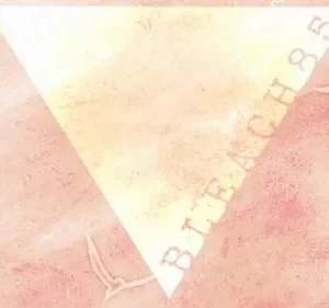 Bleach – T01E85: A batalha letal das lágrimas! Rukia vs. Orihime