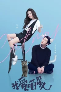 Pôster: Mulher sorridente em um banco, homem com orelhas de gato olhando para cima, um gato cinza. Clima divertido.