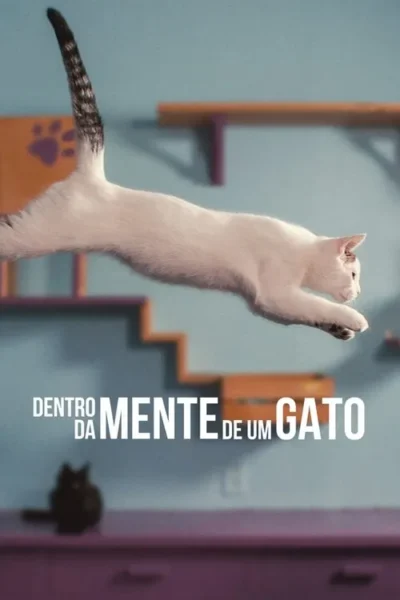 Gato branco pulando no ar sobre fundo azul claro com degraus coloridos. Pequeno gato preto no canto inferior. Clima divertido.