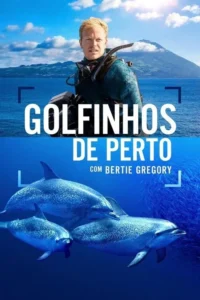 Pôster dividido:homem mergulhador loiro no mar azul com ilha distante. Abaixo,três golfinhos nadam em águas profundas entre cardumes.