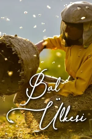 Apicultora agachada perto de colmeia rústica, com abelhas zumbindo sob um sol dourado. Clima natural e sereno.