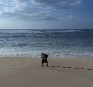 Uma pessoa caminha sozinha na areia clara de uma praia vasta. O oceano azul tem ondas quebrando, e há nuvens no céu. Pegadas na areia.
