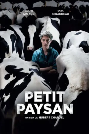 Um jovem fazendeiro de camisa azul e olhar preocupado, em meio a várias vacas pretas e brancas em um celeiro escuro.