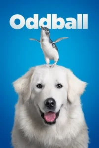 Pôster:Um cachorro branco sorridente tem um pinguim pequeno e curioso na cabeça. Fundo azul brilhante. Clima alegre.