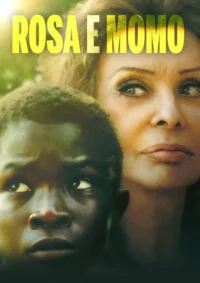 Pôster:Menino negro e mulher idosa,ambos com olhar atento para cima. Fundo verde vibrante e ensolarado,transmitindo esperança.