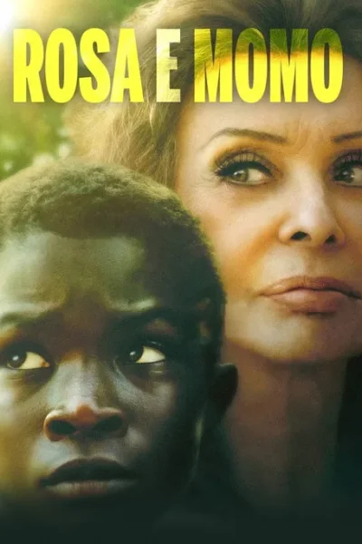 Pôster: Menino negro e mulher idosa, ambos com olhar atento para cima. Fundo verde vibrante e ensolarado, transmitindo esperança.