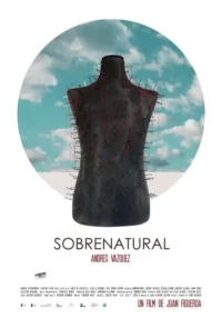 Manequim escuro de torso cravejado de alfinetes e fios vermelhos, em um círculo contra um céu azul com nuvens e horizonte branco.