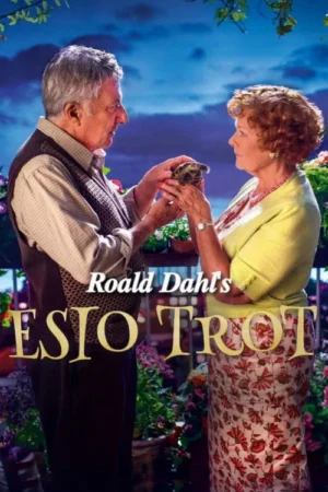 Um Amor de Estimação
