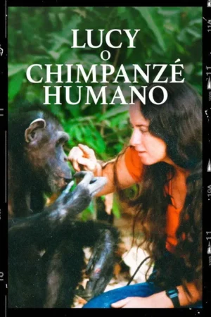 Mulher de cabelo comprido e chimpanzé se tocam gentilmente em cenário verde exuberante. Transmite um profundo vínculo.