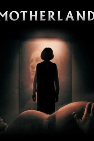 Silhueta de mulher observa um rosto fantasmagórico. Em primeiro plano, uma barriga de grávida com uma mão. Pôster com atmosfera sombria e misteriosa.