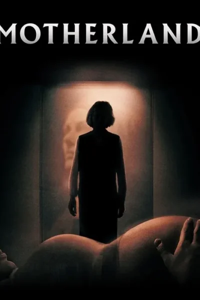 Silhueta de mulher observa um rosto fantasmagórico. Em primeiro plano, uma barriga de grávida com uma mão. Pôster com atmosfera sombria e misteriosa.