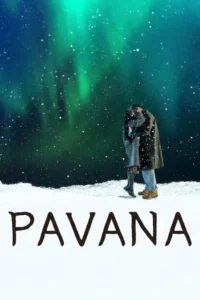 Casal se beijando em paisagem nevada sob a aurora boreal, com flocos de neve caindo.