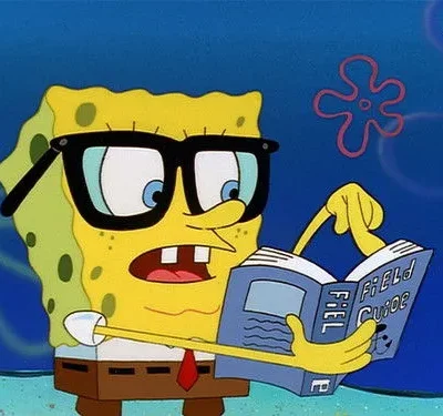 Personagem amarelo retangular de óculos, com boca aberta, lendo um livro azul Field Guide e parecendo confuso. Fundo marinho azul.