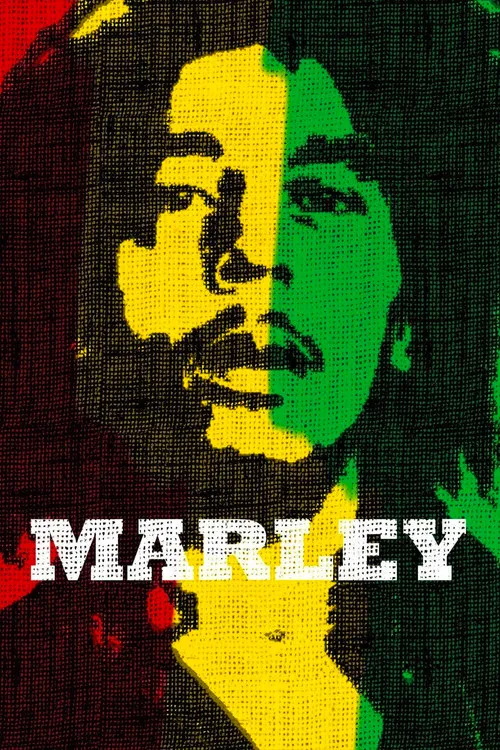 Retrato vibrante de homem com dreadlocks em estilo pop-art. Rosto dividido por blocos de cor vermelha,amarela e verde,textura pontilhada.