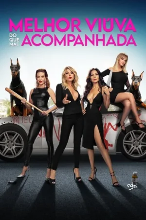 Quatro mulheres poderosas de preto, com dois dobermans e um carro riscado. Seguram taco/faca. Pílulas no chão, sugerindo trama de vingança.