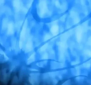 Cérebro azul brilhante e translúcido contra um fundo escuro, com veias ou circuitos visíveis. Clima de ficção científica.