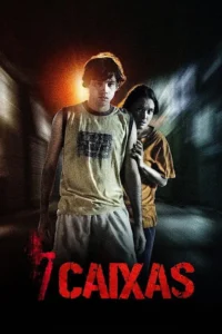 7 Caixas