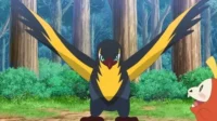 Um pássaro preto e amarelo com asas abertas e olhar determinado. Ao lado, uma criatura laranja surpresa em uma floresta.