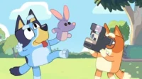 Dois filhotes de cachorro brincam num parque ensolarado. Um azul posa com um fantoche, o laranja fotografa.