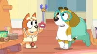 Cão laranja com estetoscópio e pinça de brinquedo brinca de médico com um beagle de óculos, que parece receoso. Ambiente alegre.