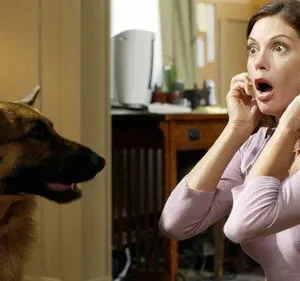 Donas de Casa Desesperadas – T01E02: Bem Lá No Fundo