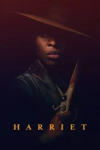 Pôster:Mulher negra,chapéu largo sombreando o rosto,veste casaco verde e segura um rifle. Fundo escuro com luz dramática. Clima sério.