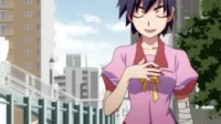 Monogatari – T01E06: Suruga Monkey 1