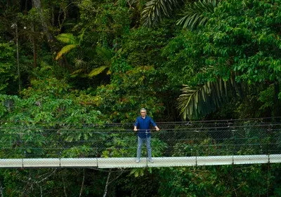 Homem de camisa azul em ponte suspensa alta sobre selva tropical densa. Ele olha para frente, em cenário de exploração.