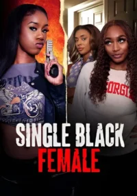 Três mulheres afro-americanas. Uma segura arma com fundo de chamas. Duas outras em casa. Expressões sérias. Poster tenso e misterioso.