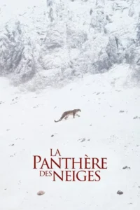 Um leopardo-das-neves caminha por uma paisagem montanhosa vasta e gelada, com picos rochosos cobertos de neve.