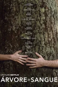 Duas mãos,uma feminina e uma masculina,tocam um tronco de árvore coberto de musgo. Clima natural e de conexão.