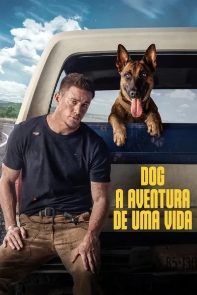 Homem sério e cão pastor feliz na caçamba de uma caminhonete, com estrada e montanhas ao fundo. Clima de aventura.