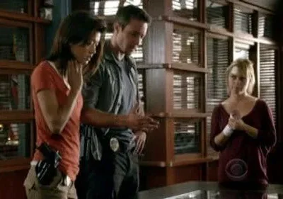Hawaii Five-0: Kono, Steve e uma mulher loira em escritório com estantes de madeira. Discutem algo seriamente.